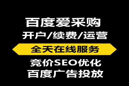 某电商平台SEM竞价广告的转化率提升案例